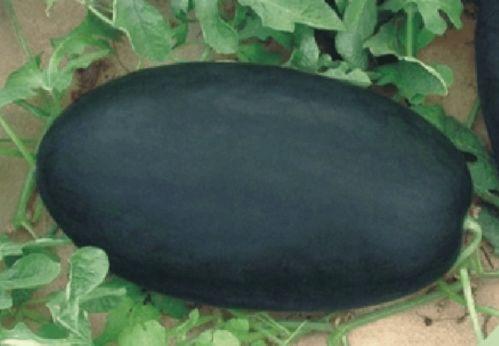 黑马吃瓜,揭秘娱乐圈背后的惊人真相