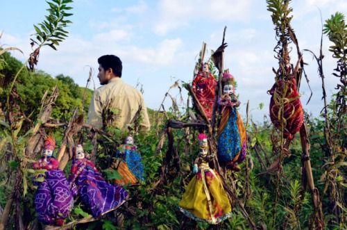 冒险雷探长吃瓜,揭秘吃瓜界的神秘事件