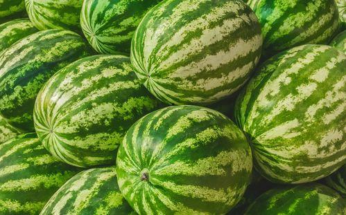 吃瓜资源哪里找,吃瓜资源一网打尽，轻松获取热门资讯！