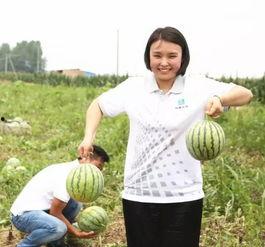 妍霏吃瓜群众,吃瓜群众的视角，揭秘娱乐圈风云