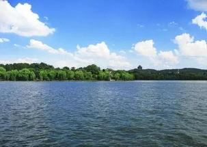 吃瓜杭州西湖苗苗,夏日里的悠闲时光