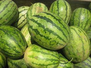 徽县的吃瓜事件,一场引发热议的街头冲突事件