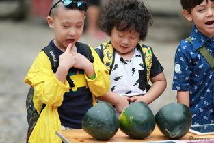 吃瓜萌娃图文图片